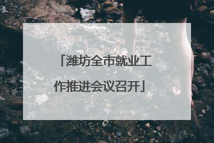 潍坊全市就业工作推进会议召开