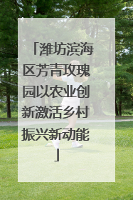 潍坊滨海区芳青玫瑰园以农业创新激活乡村振兴新动能