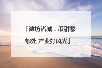 潍坊诸城：瓜甜葱郁处 产业好风光