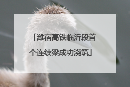 潍宿高铁临沂段首个连续梁成功浇筑