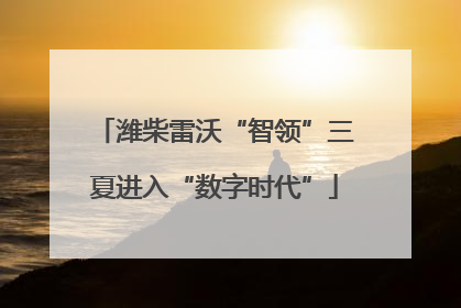 潍柴雷沃“智领”三夏进入“数字时代”