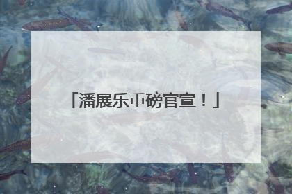 潘展乐重磅官宣！