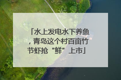 水上发电水下养鱼，青岛这个村百亩竹节虾抢“鲜”上市