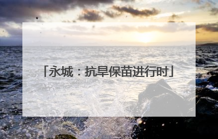 永城：抗旱保苗进行时