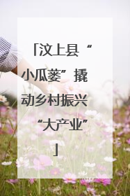 汶上县“小瓜蒌”撬动乡村振兴“大产业”