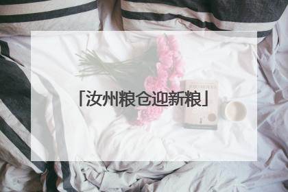 汝州粮仓迎新粮