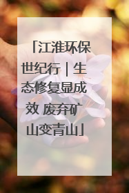 江淮环保世纪行｜生态修复显成效 废弃矿山变青山