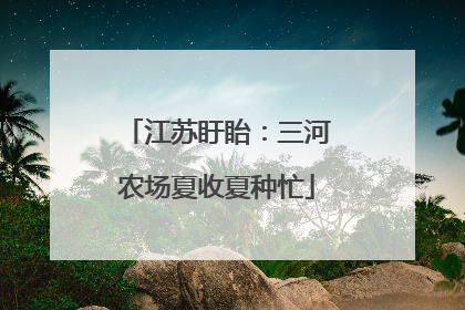 江苏盱眙：三河农场夏收夏种忙