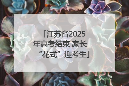 江苏省2025年高考结束 家长“花式”迎考生