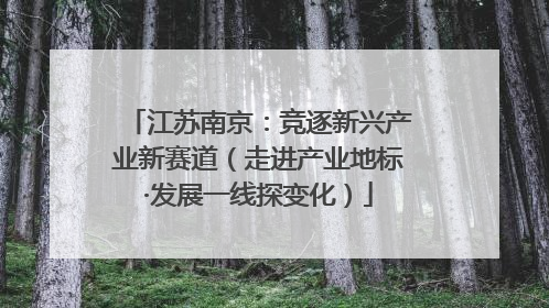 江苏南京：竞逐新兴产业新赛道（走进产业地标·发展一线探变化）