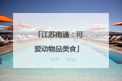 江苏南通：可爱动物品美食