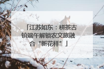 江苏如东：栟茶古镇端午解锁农文旅融合“新花样”