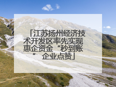 江苏扬州经济技术开发区率先实现惠企资金“秒到账” 企业点赞