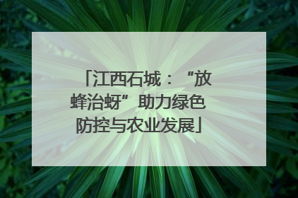 江西石城：“放蜂治蚜”助力绿色防控与农业发展