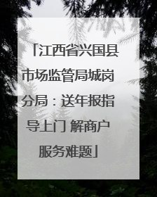 江西省兴国县市场监管局城岗分局：送年报指导上门 解商户服务难题
