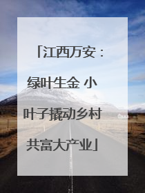 江西万安：绿叶生金 小叶子撬动乡村共富大产业