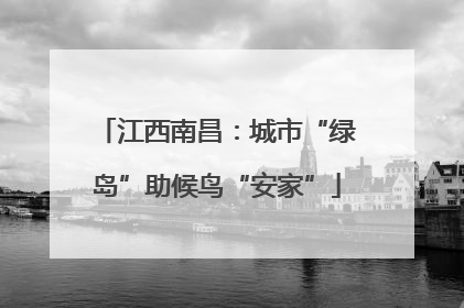 江西南昌：城市“绿岛”助候鸟“安家”