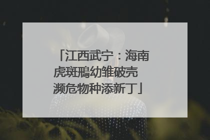 江西武宁:海南虎斑鳽幼雏破壳 濒危物种添新丁