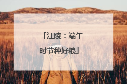 江陵：端午时节种好粮