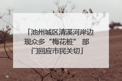 池州城区清溪河岸边现众多“梅花桩” 部门回应市民关切