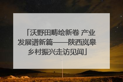 沃野田畴绘新卷 产业发展谱新篇——陕西岚皋乡村振兴走访见闻