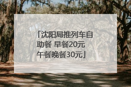 沈阳局推列车自助餐 早餐20元午餐晚餐30元