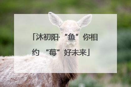 沐初阳·“鱼”你相约 “莓”好未来