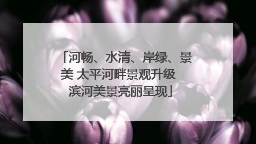 河畅、水清、岸绿、景美 太平河畔景观升级 滨河美景亮丽呈现