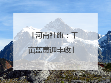 河南社旗：千亩蓝莓迎丰收