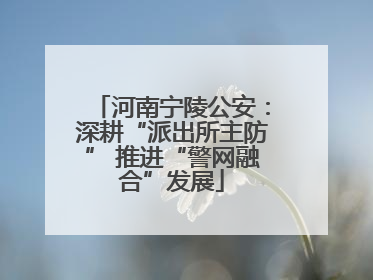 河南宁陵公安：深耕“派出所主防” 推进“警网融合”发展