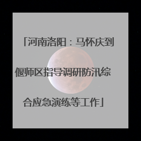 河南洛阳：马怀庆到偃师区指导调研防汛综合应急演练等工作