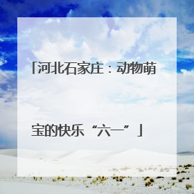 河北石家庄：动物萌宝的快乐“六一”