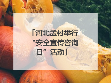河北孟村举行“安全宣传咨询日”活动