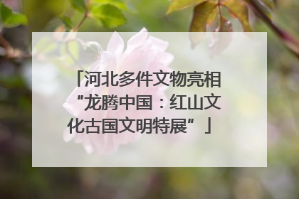 河北多件文物亮相“龙腾中国：红山文化古国文明特展”