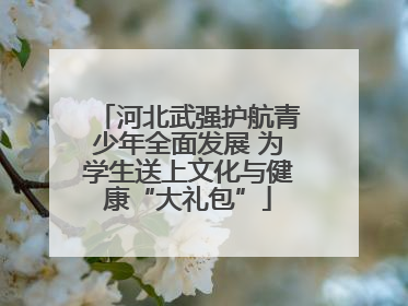 河北武强护航青少年全面发展 为学生送上文化与健康“大礼包”