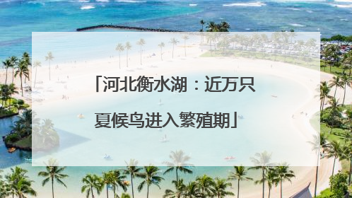 河北衡水湖：近万只夏候鸟进入繁殖期