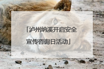 泸州纳溪开启安全宣传咨询日活动