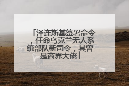 泽连斯基签署命令，任命乌克兰无人系统部队新司令，其曾是商界大佬