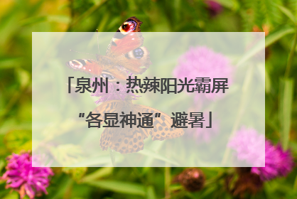 泉州：热辣阳光霸屏 “各显神通”避暑