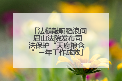 法槌敲响稻浪间 眉山法院发布司法保护“天府粮仓”三年工作成效