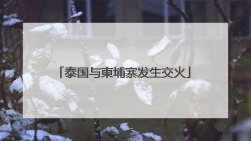 泰国与柬埔寨发生交火