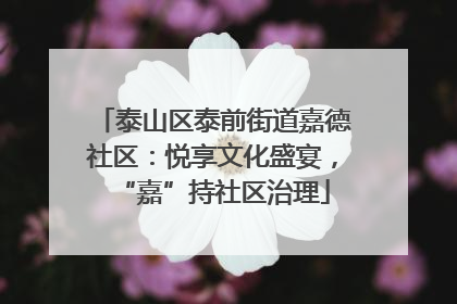 泰山区泰前街道嘉德社区：悦享文化盛宴，“嘉”持社区治理
