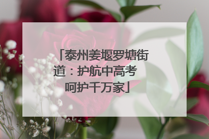 泰州姜堰罗塘街道：护航中高考 呵护千万家