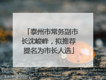 泰州市常务副市长沈峻峰，拟推荐提名为市长人选