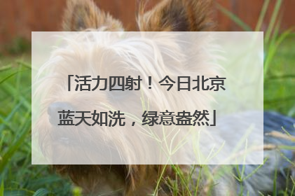 活力四射！今日北京蓝天如洗，绿意盎然