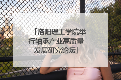 洛阳理工学院举行轴承产业高质量发展研究论坛