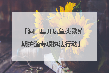 洞口县开展鱼类繁殖期护渔专项执法行动