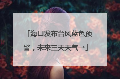 海口发布台风蓝色预警，未来三天天气→