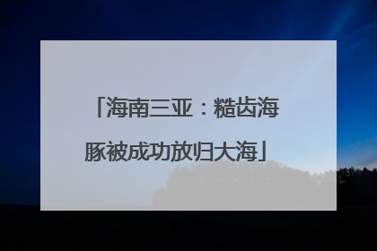 海南三亚：糙齿海豚被成功放归大海