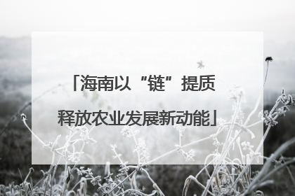 海南以“链”提质 释放农业发展新动能